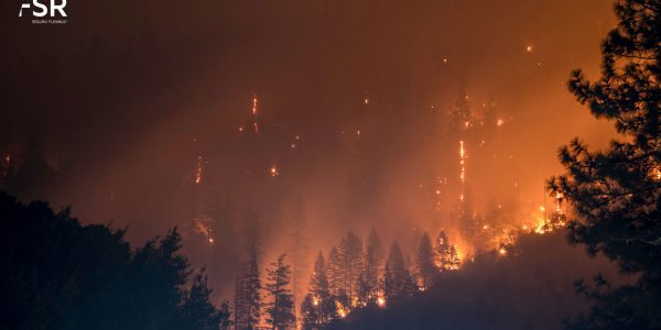 Imagen de la noticia El seguro como salvavidas ante un incendio