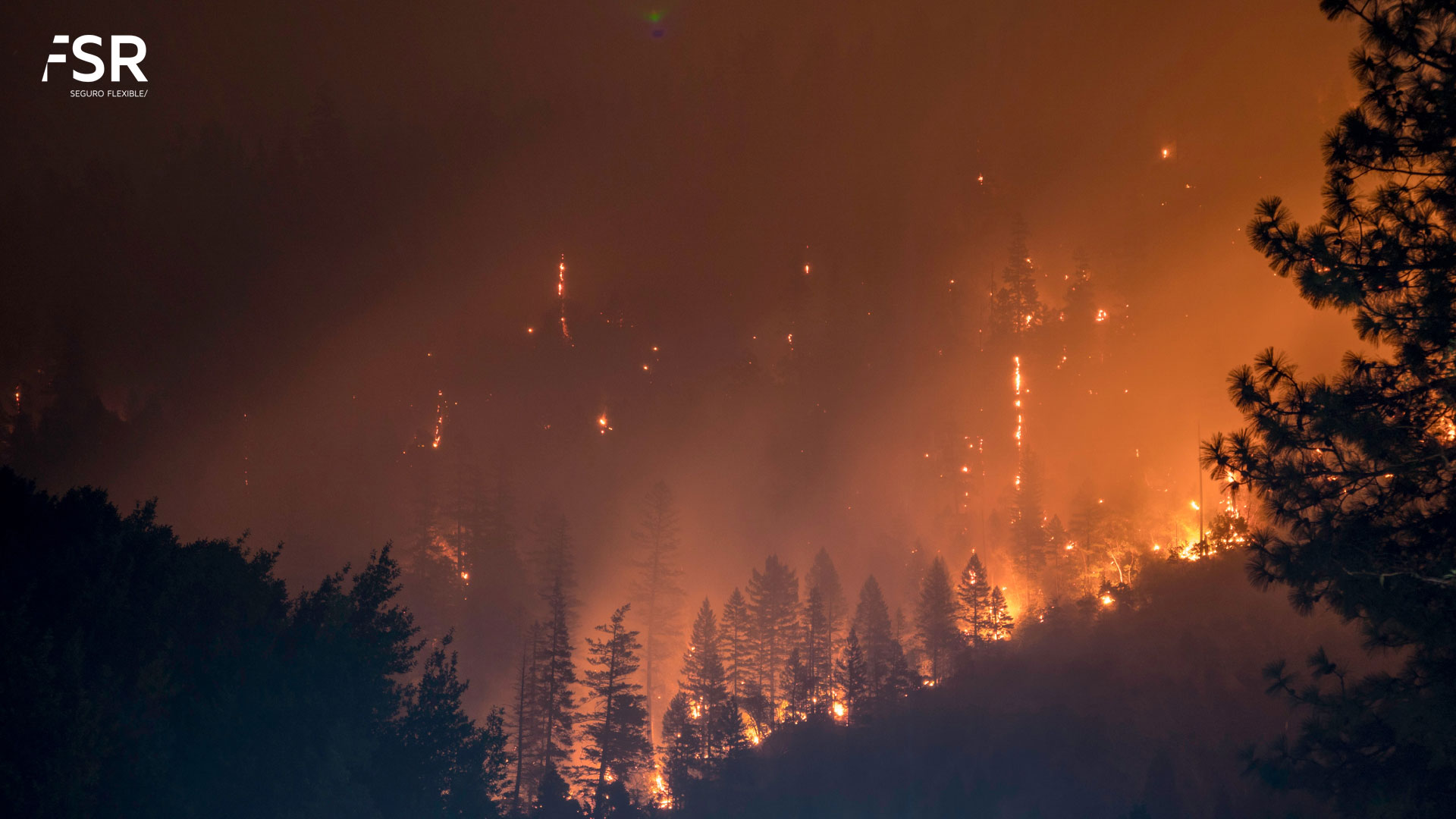 Imagen de la noticia El seguro como salvavidas ante un incendio